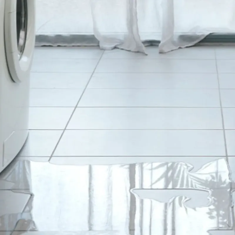 Appliance Leak Cleanup in Shady Cove, OR